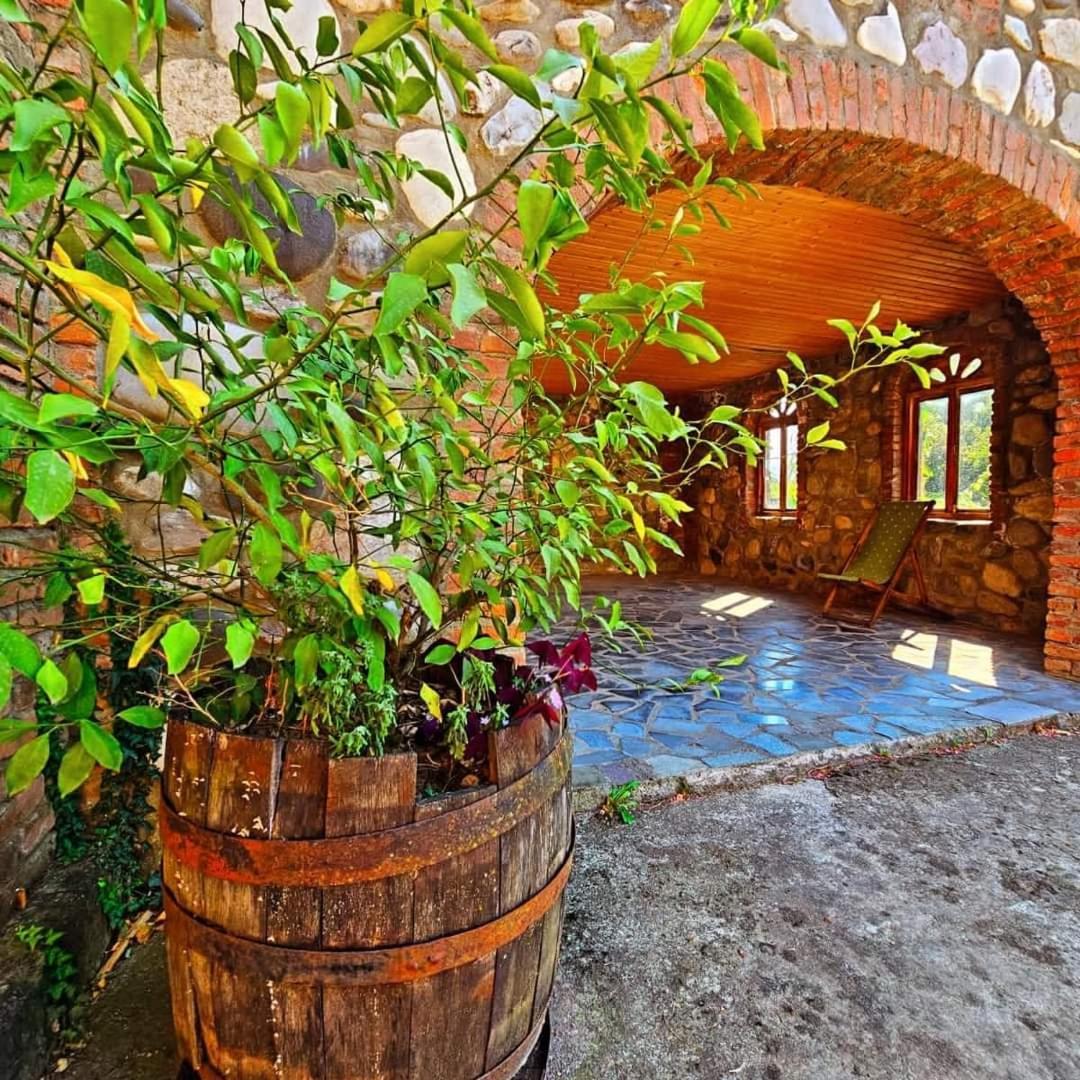 Blue Guest House Samtredia Exterior foto
